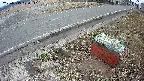 yotec6-20250319120112.jpg