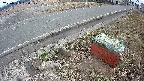 yotec6-20250319130109.jpg