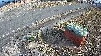 yotec6-20250319163109.jpg
