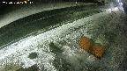 yotec6-20250320023112.jpg