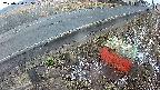 yotec6-20250320055109.jpg