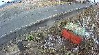 yotec6-20250320060107.jpg