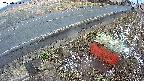yotec6-20250320061107.jpg