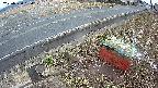 yotec6-20250320064111.jpg