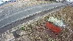 yotec6-20250320070111.jpg