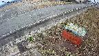 yotec6-20250320081110.jpg