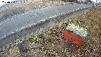 yotec6-20250320091107.jpg