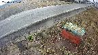 yotec6-20250320104111.jpg