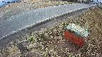 yotec6-20250320112109.jpg