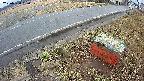 yotec6-20250320130111.jpg