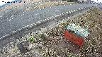 yotec6-20250320163111.jpg