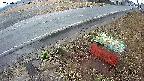 yotec6-20250321054110.jpg