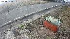 yotec6-20250322071111.jpg