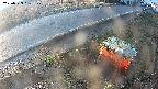 yotec6-20250323061109.jpg