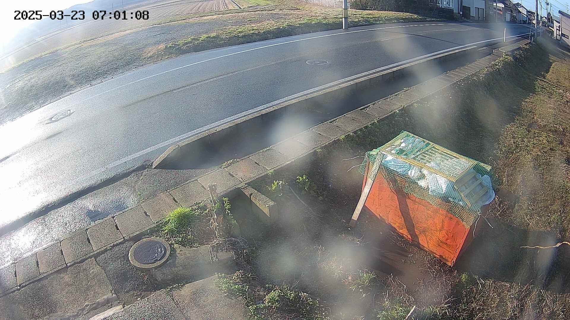 yotec6-20250323070109.jpg