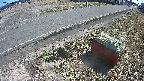 yotec6-20250323133110.jpg