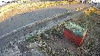 yotec6-20250323171112.jpg