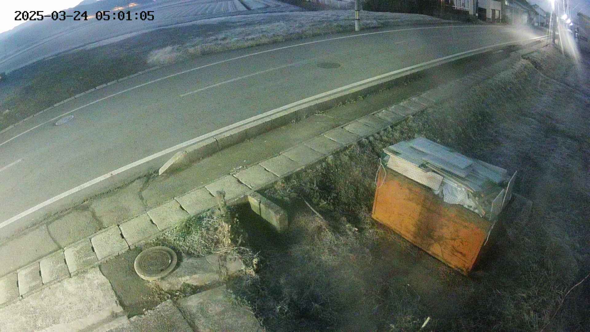 yotec6-20250324050107.jpg