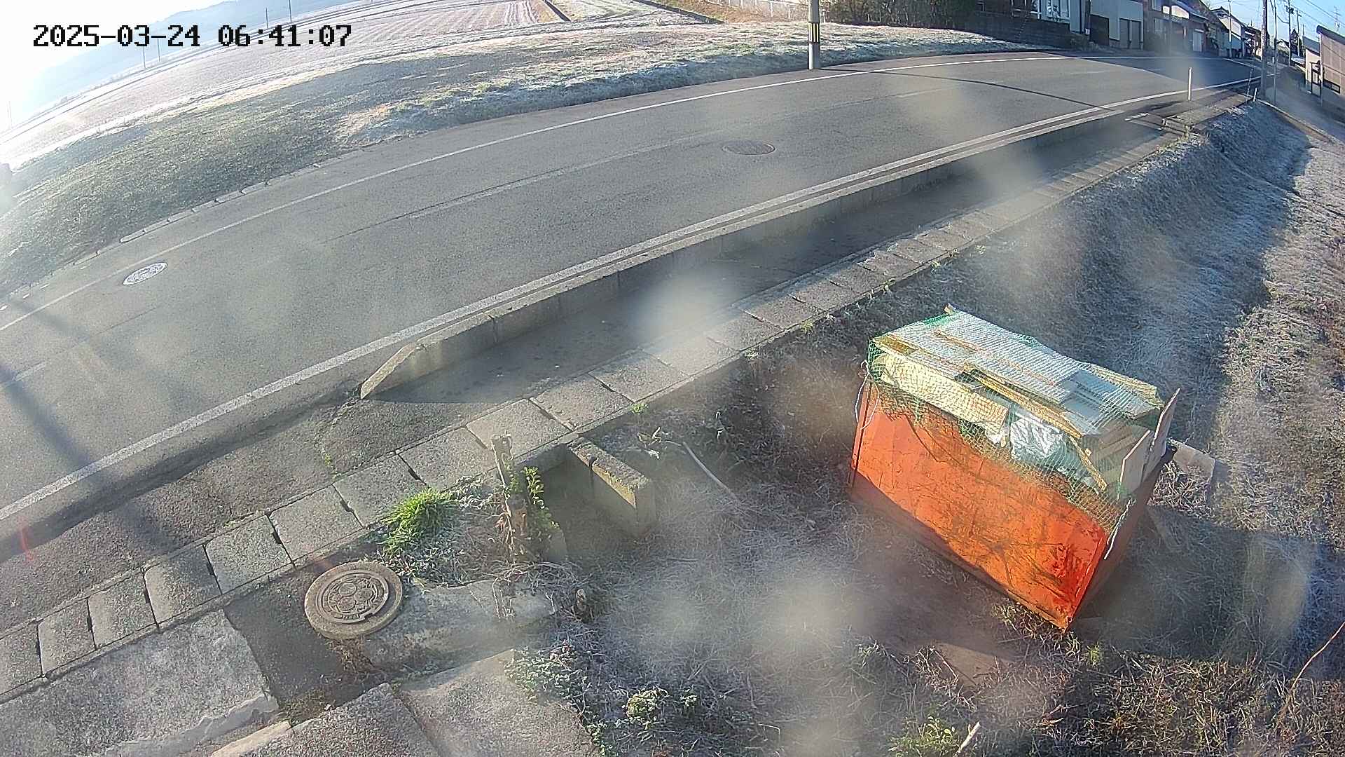 yotec6-20250324064109.jpg