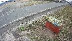 yotec6-20250324150108.jpg