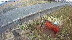 yotec6-20250325064107.jpg