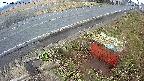 yotec6-20250325072110.jpg