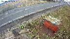 yotec6-20250325073108.jpg
