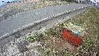 yotec6-20250325162107.jpg