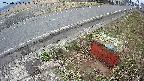 yotec6-20250325172108.jpg