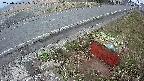 yotec6-20250326055110.jpg