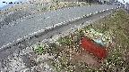 yotec6-20250326061109.jpg