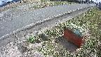 yotec6-20250329134113.jpg