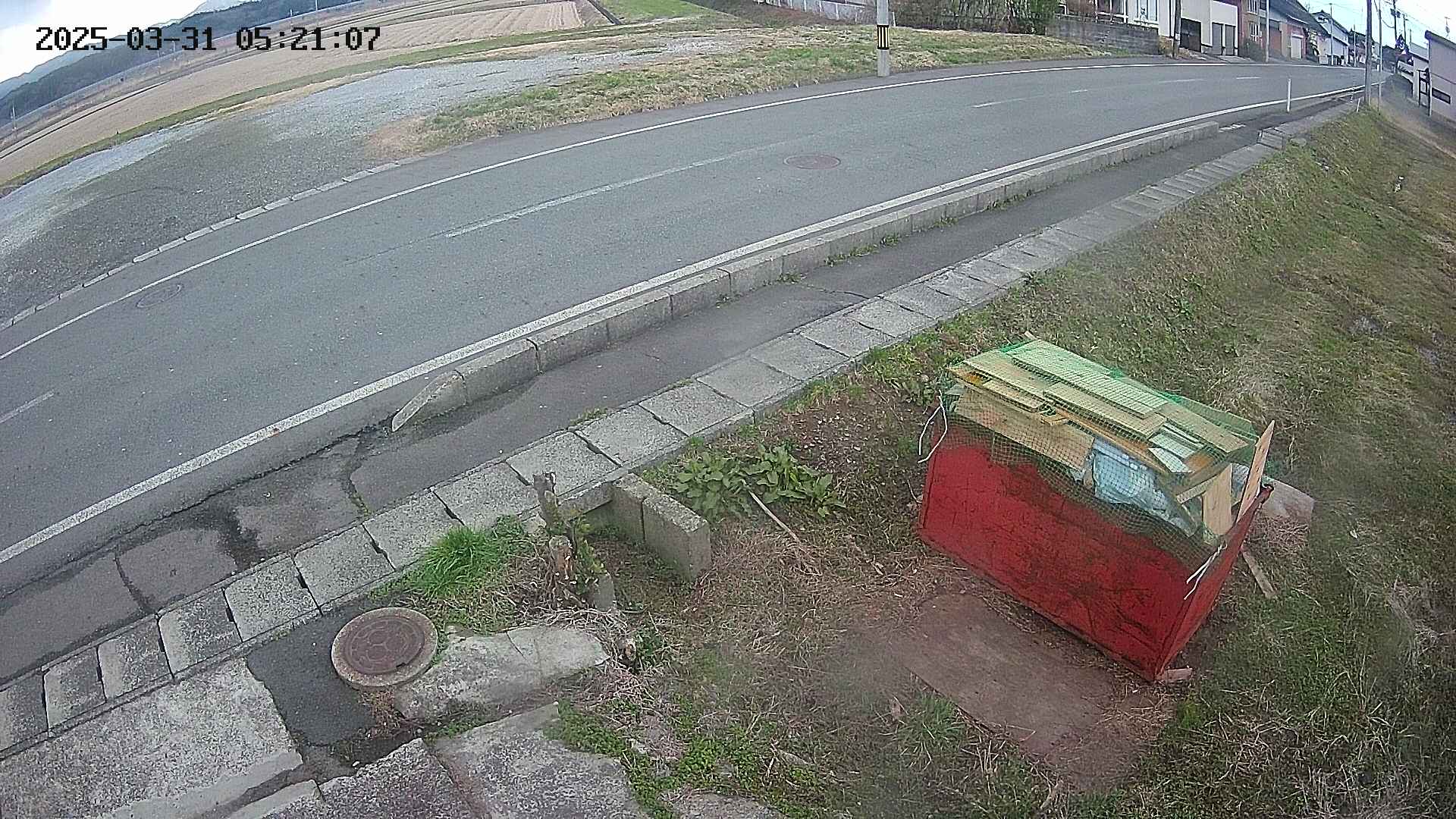 yotec6-20250331052109.jpg