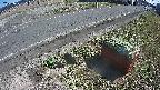 yotec6-20250331141115.jpg