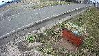 yotec6-20250401102108.jpg