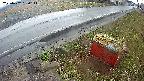 yotec6-20250402060112.jpg