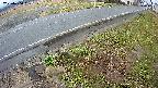 yotec6-20250404081111.jpg