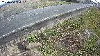 yotec6-20250404144112.jpg