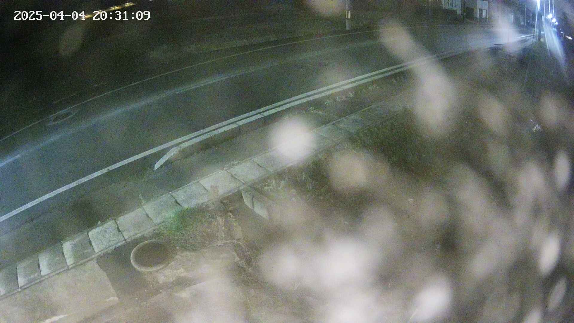 yotec6-20250404203111.jpg