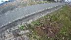yotec6-20250405051111.jpg