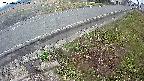 yotec6-20250405053111.jpg