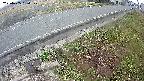 yotec6-20250405054109.jpg