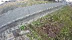 yotec6-20250405055110.jpg