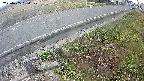 yotec6-20250405060109.jpg