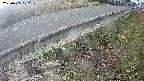 yotec6-20250405072110.jpg