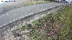 yotec6-20250405073110.jpg