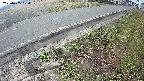 yotec6-20250405074107.jpg