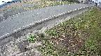 yotec6-20250405082108.jpg