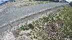yotec6-20250405140110.jpg