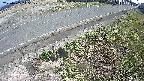 yotec6-20250405145109.jpg